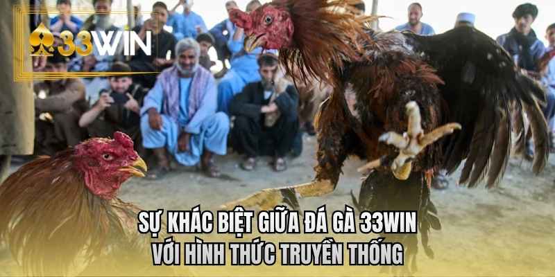 Sự khác biệt giữa đá gà 33WIN với hình thức truyền thống